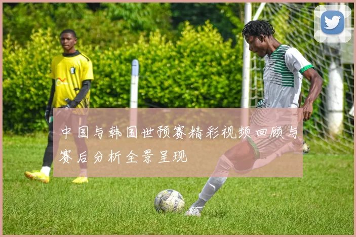 中国与韩国世预赛精彩视频回顾与赛后分析全景呈现