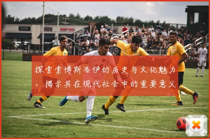 探索索博斯洛伊的历史与文化魅力，揭示其在现代社会中的重要意义