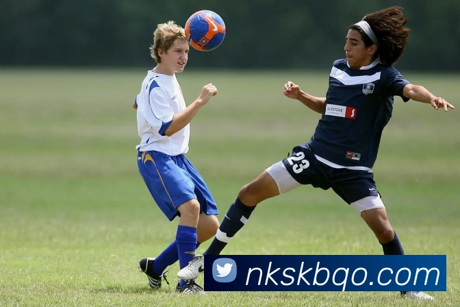 mk体育平台生态图